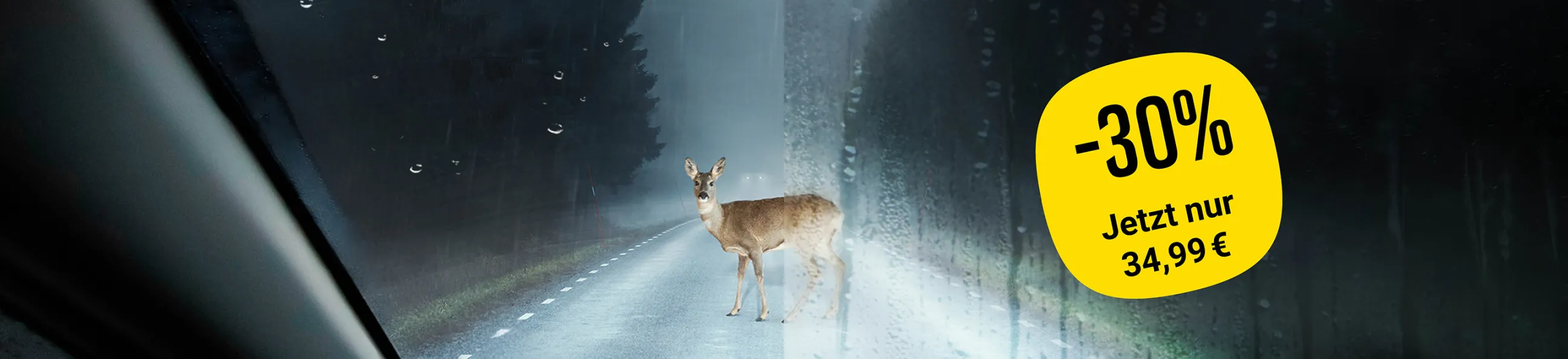 -30% auf Carglass Protect Scheibenversiegelung